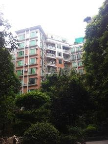 杭州新花园爆料案件最新,揭秘背后惊人真相